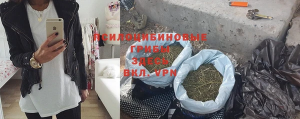 шишки Богородск