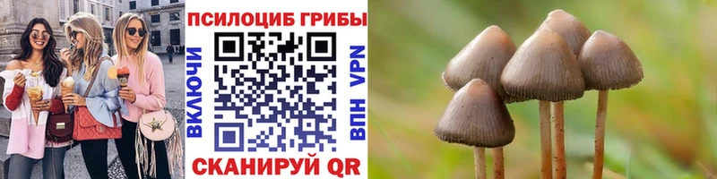 Купить закладки  Княгинино  Галлюциногенные грибы Psilocybe 